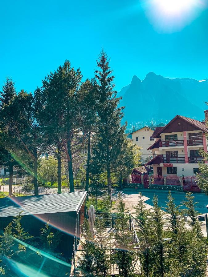 Moon Montana Buşteni Zewnętrze zdjęcie