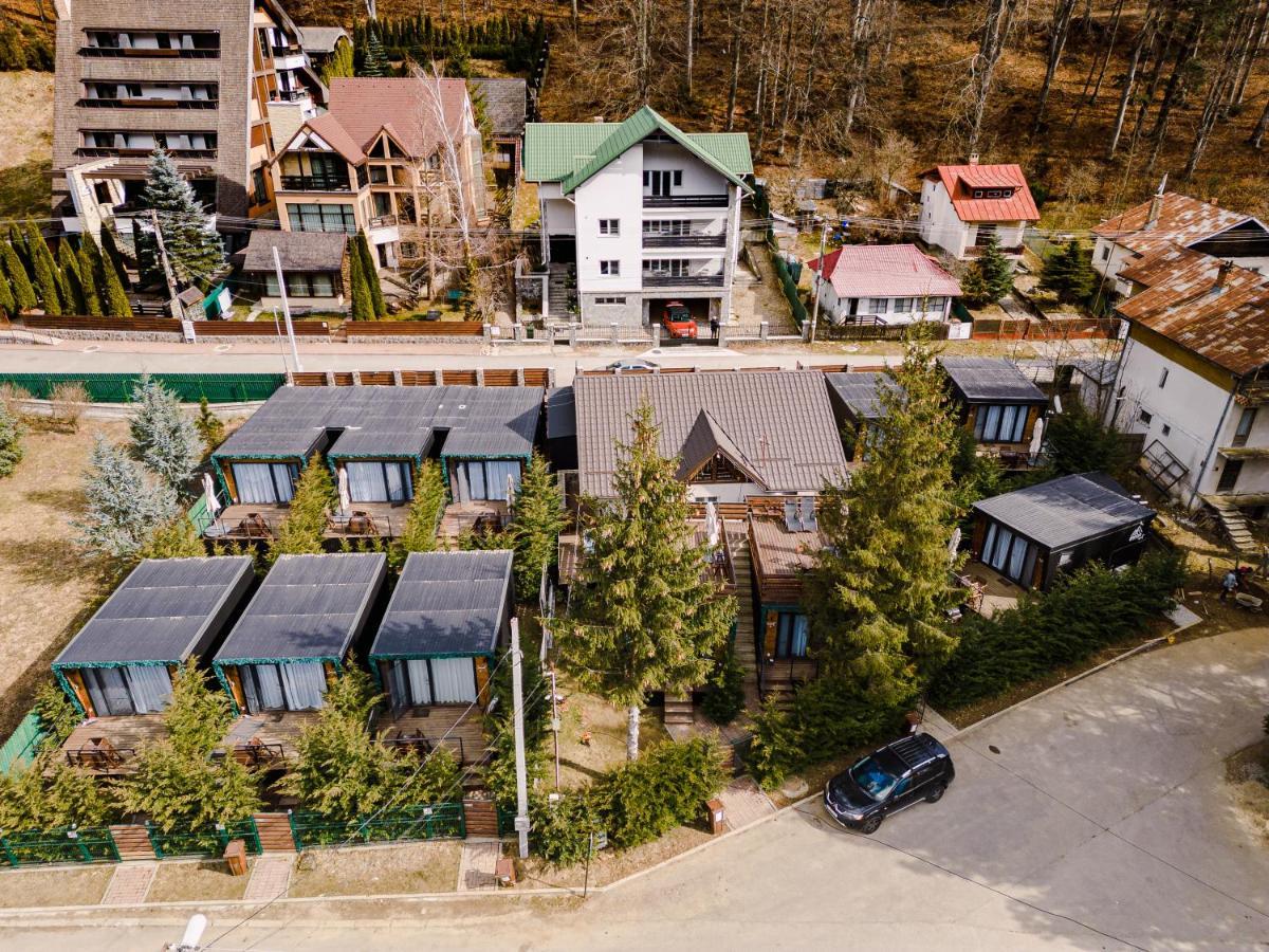 Moon Montana Buşteni Zewnętrze zdjęcie